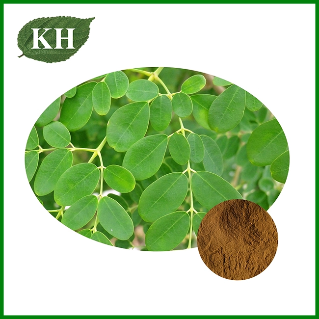 Organic Moringa Leaf Extract